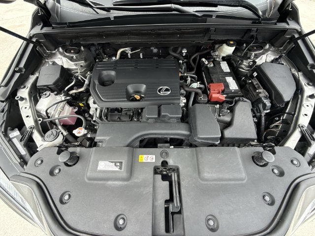 2025 Lexus NX 250 - Photo 27