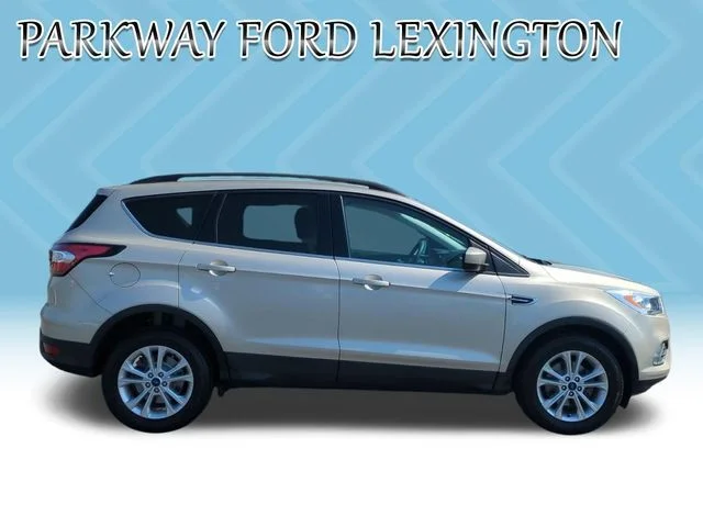 Used 2017 Gold Ford SE image 6