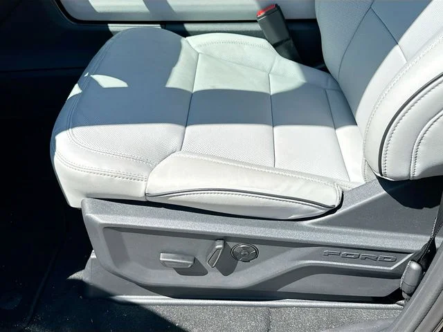 New 2026 Black Ford Platinum image 13