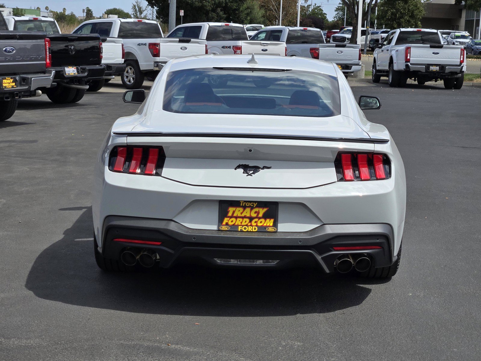 New 2026 Avalanche Gray Ford EcoBoost® Premium Fastback image 5