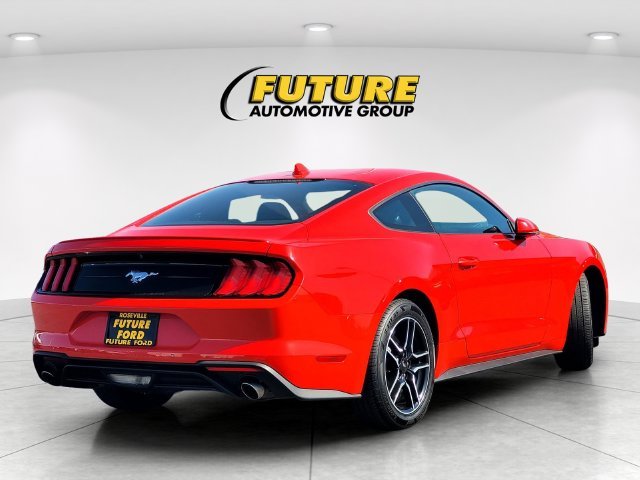 Used 2023 Red Ford EcoBoost Premium image 4