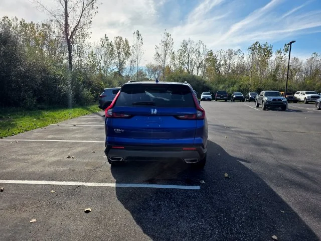 Used 2024 Blue Honda Sport image 6