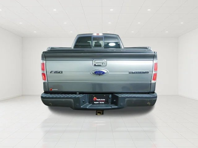 Used 2012 Gray Ford Platinum image 8