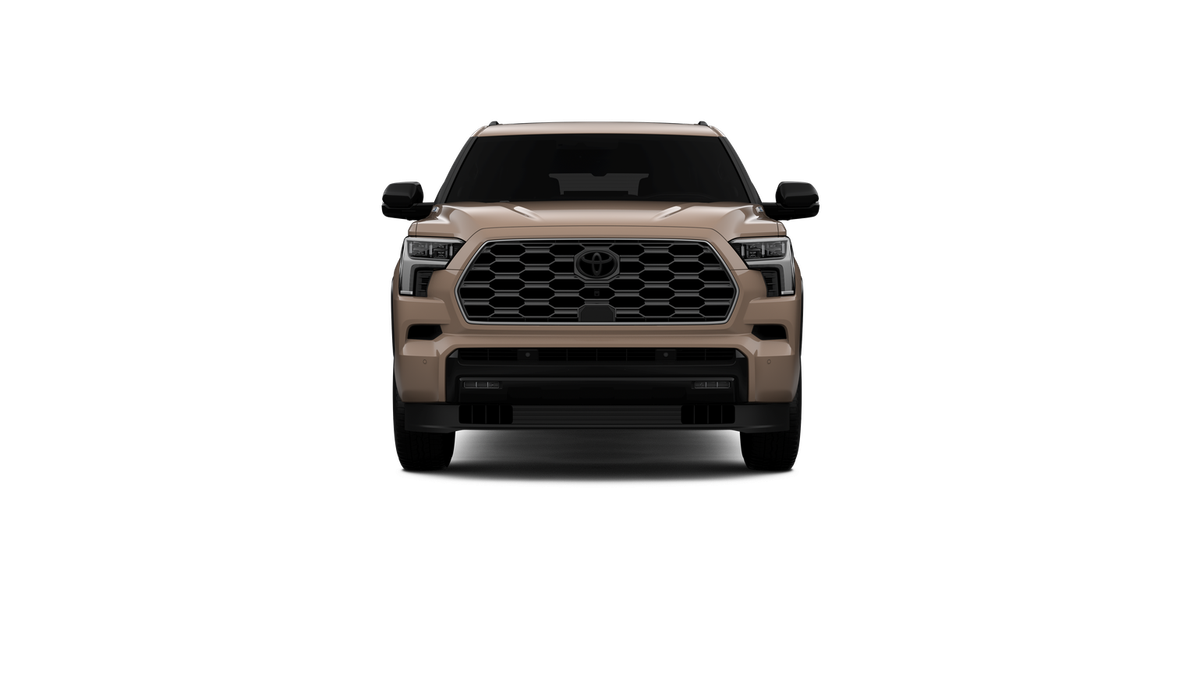 New 2026 Mudbath Toyota Platinum image 17