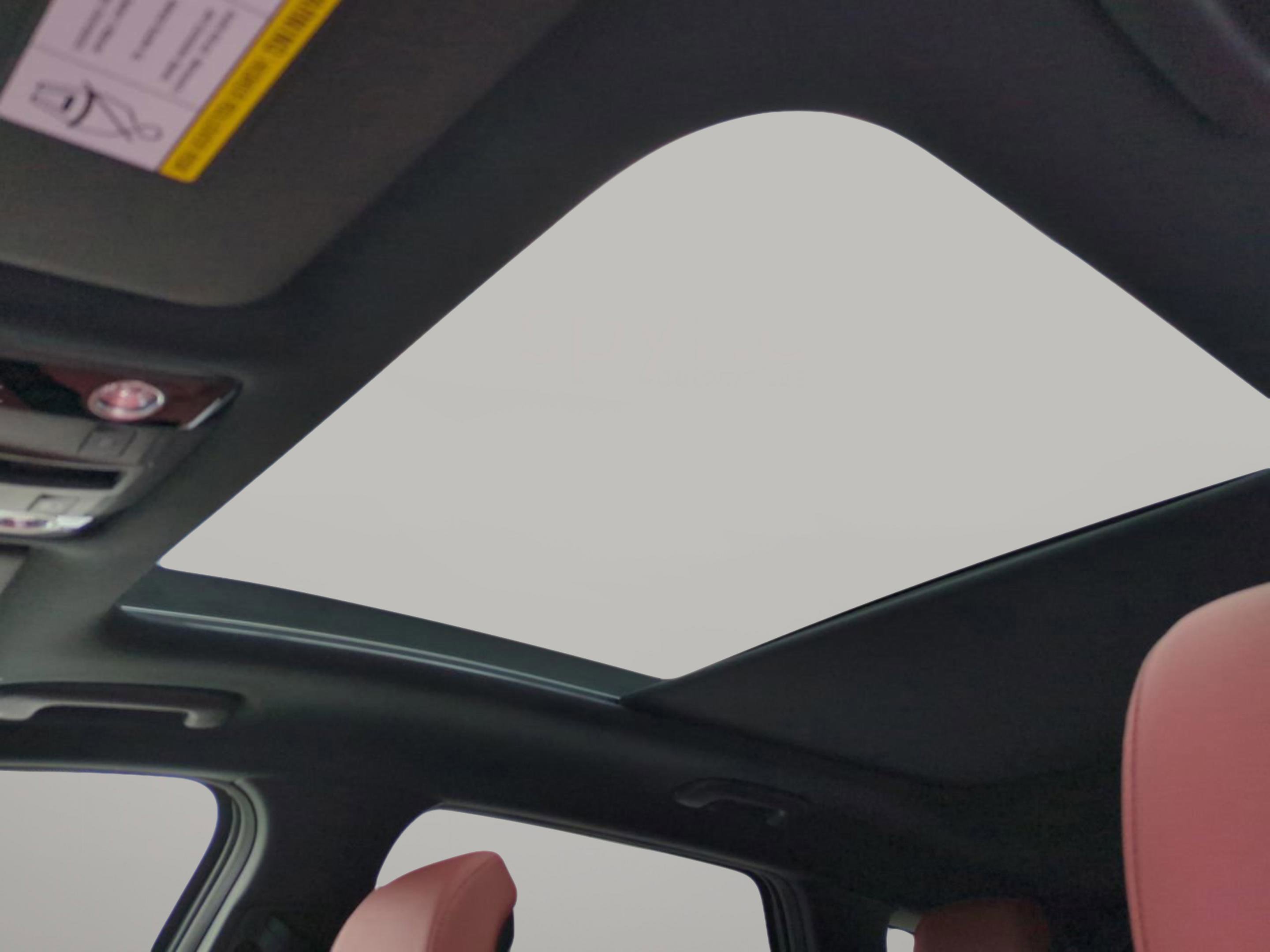 New 2025 Shadow Matte Gray Kia SX-Prestige image 19