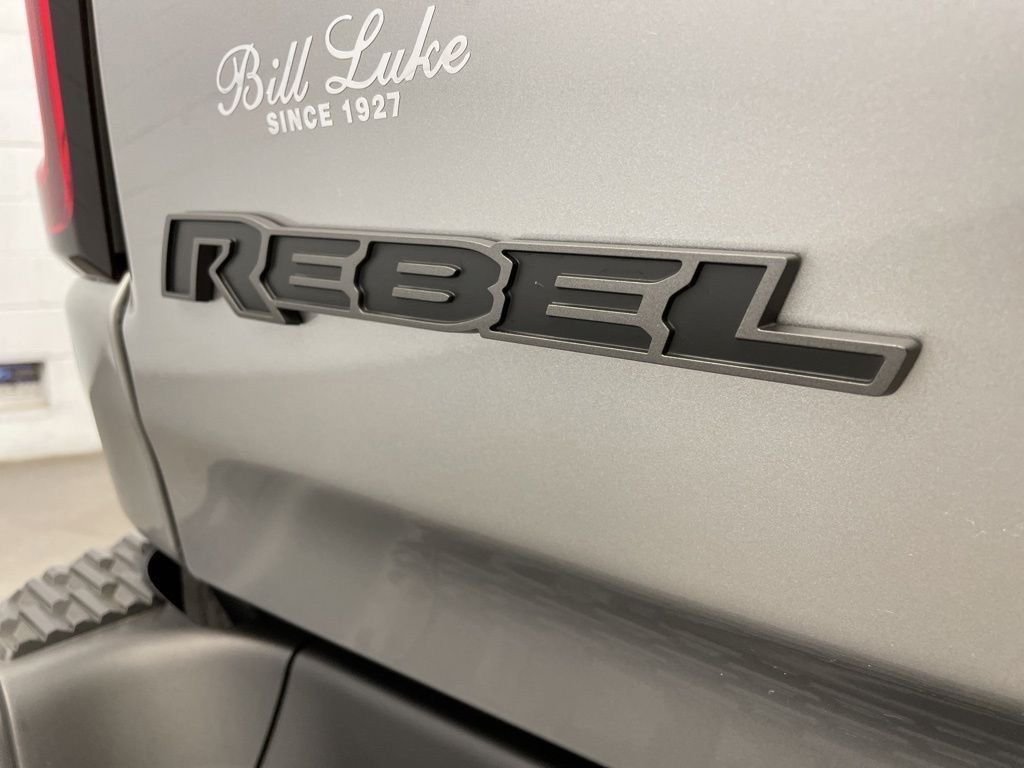 New 2026 Silver Zynith Exterior Paint RAM Rebel image 6