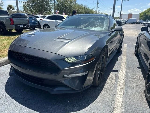 Used 2019 Magnetic Ford EcoBoost Premium image 3