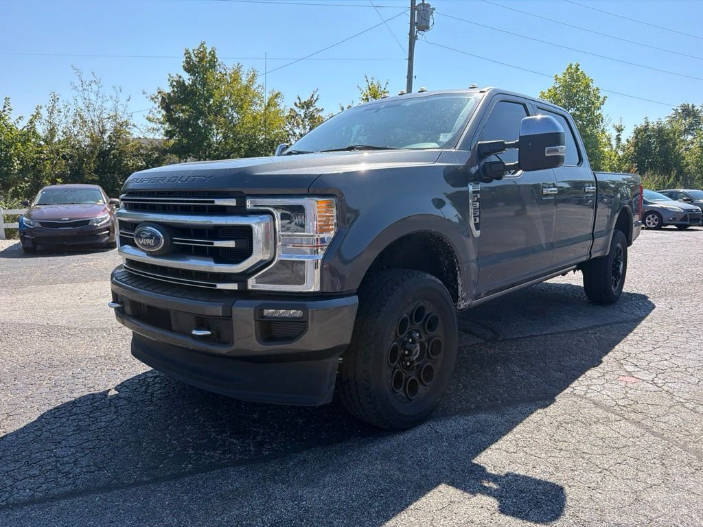 Used 2020 Magnetic Ford Platinum image 2
