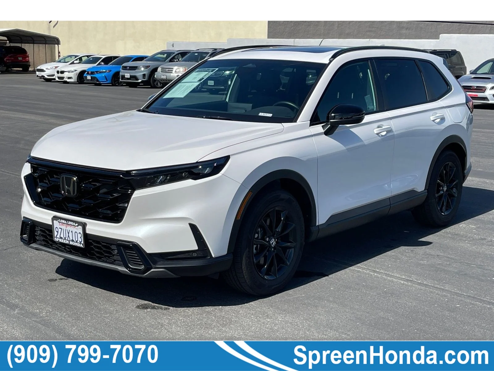 Used 2026 Platinum White Pearl Honda Sport-L image 1