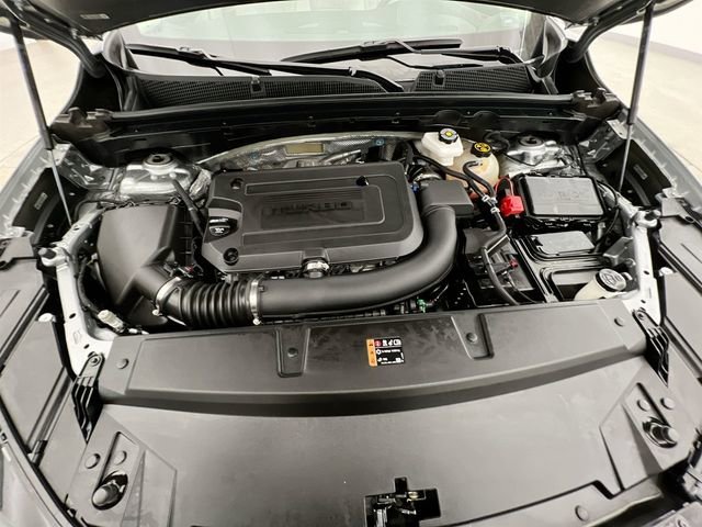 Photo 36
