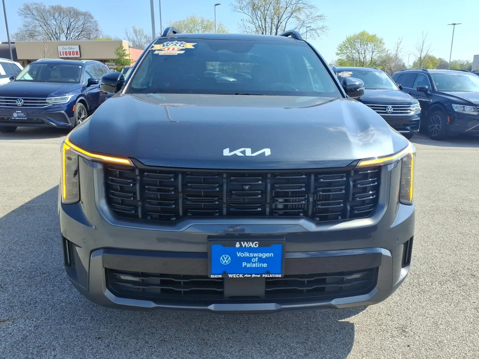 Used 2024 Gray Kia X-LINE SX PRESTIGE AWD image 2