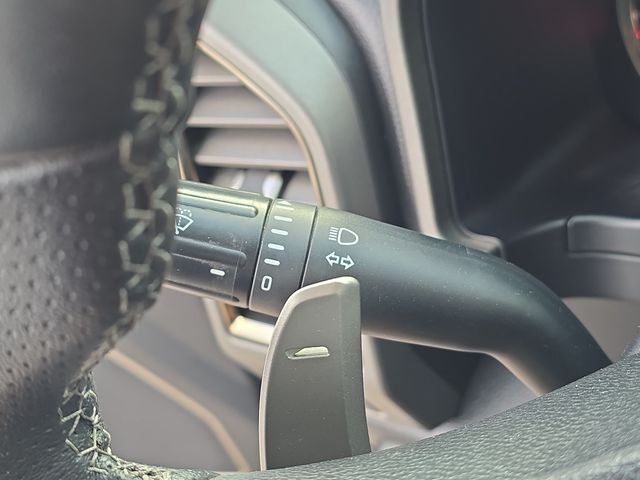 Used 2017 Avalanche Ford Raptor image 13