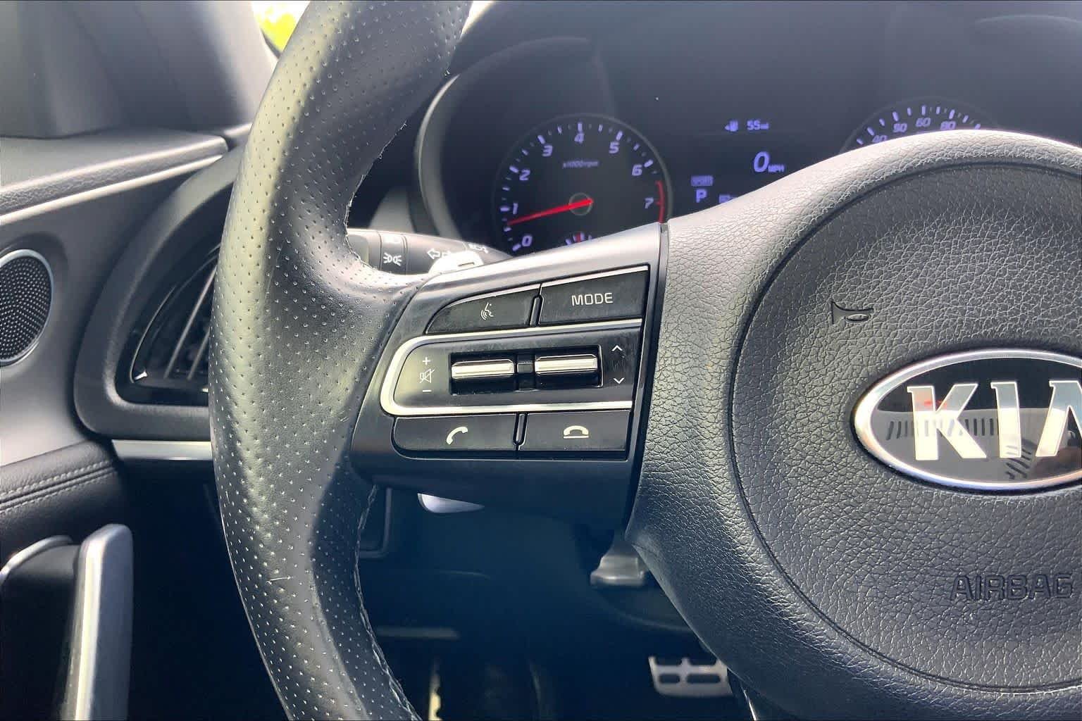 Used 2019 Panthera Metal Kia GT image 21