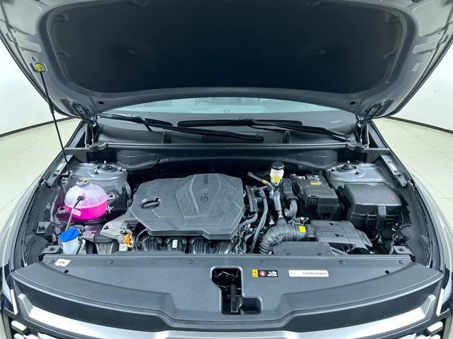 New 2026 STEEL GREY Kia LX image 12