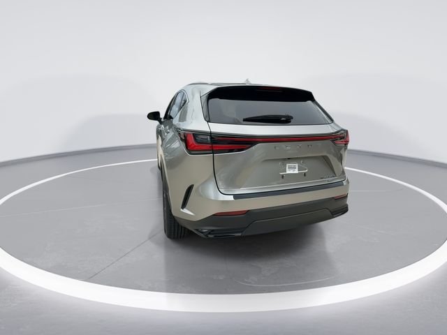 2024 Lexus NX Hybrid 350h - Photo 6