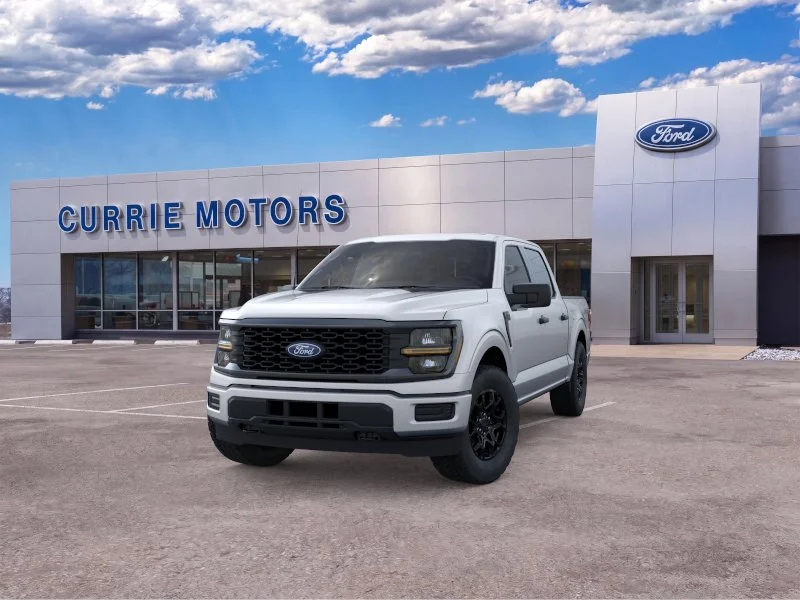 New 2026 Iconic Silver Metallic Ford STX image 24