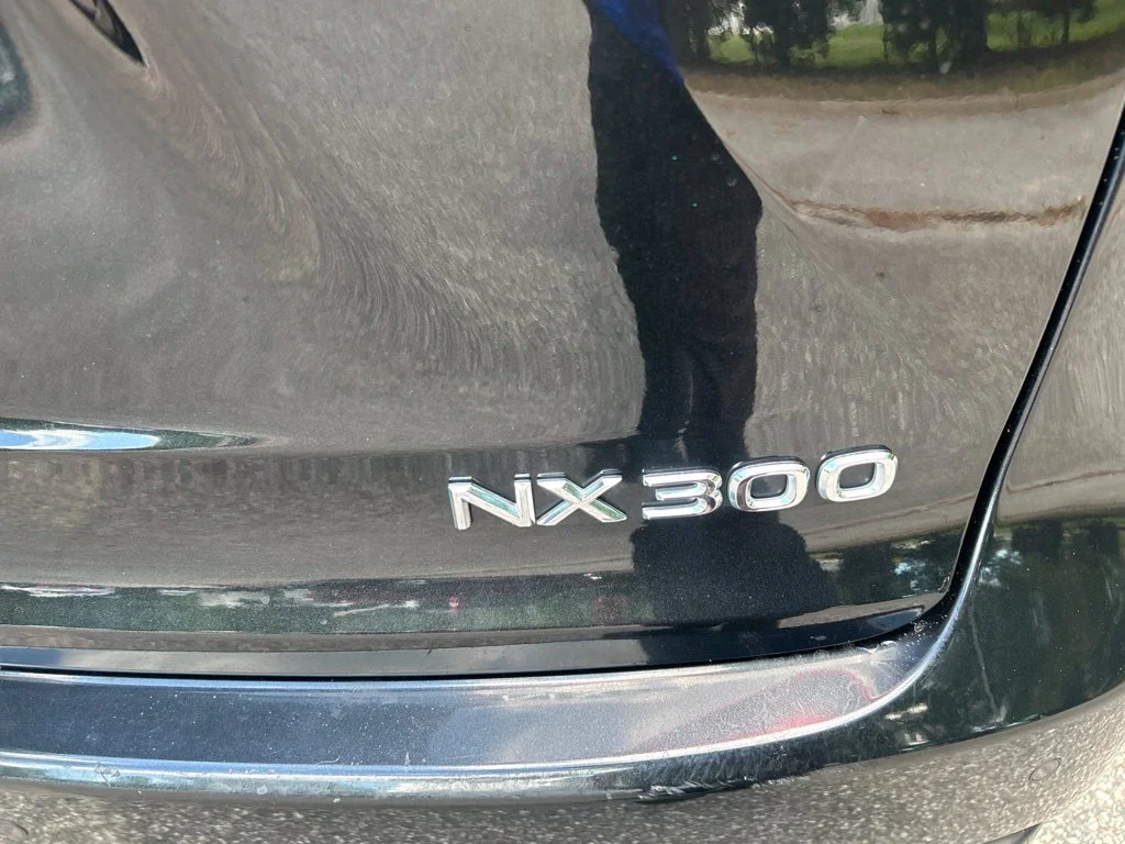 Used 2020 Black Lexus 300 Base image 10