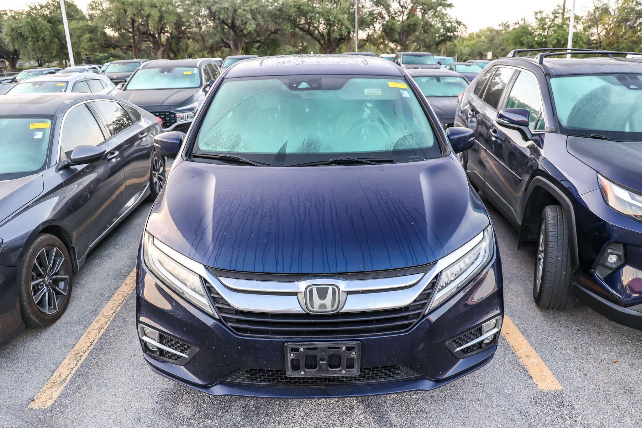 Used 2018 Blue Honda Elite image 4