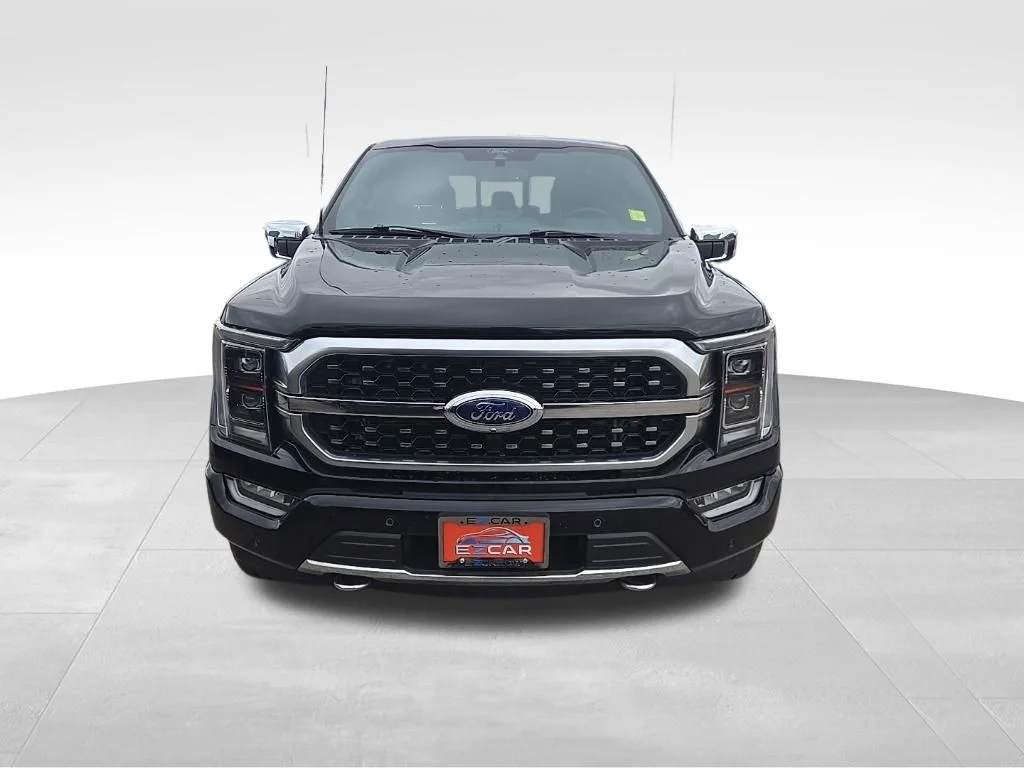 Used 2022 Black Ford Platinum image 1