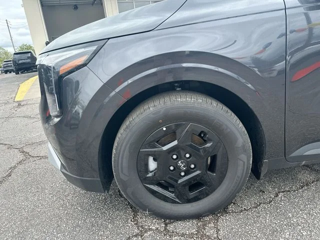 New 2026 Panthera Metal Kia LX image 20