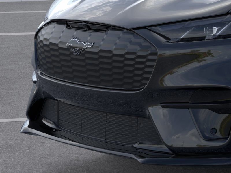 New 2026 Shadow Black Ford Premium image 18