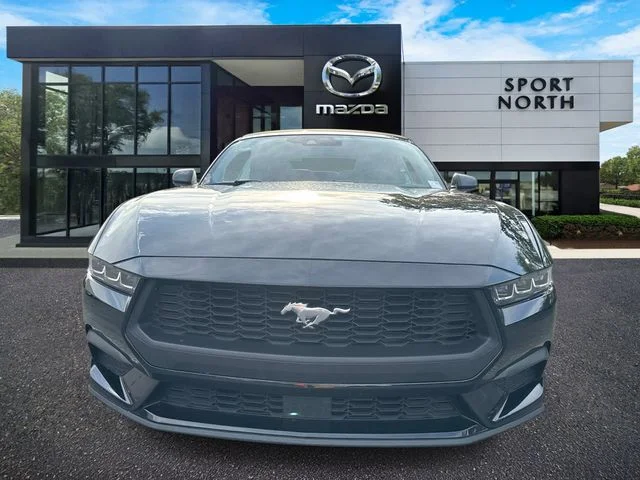 Used 2024 Black Ford EcoBoost Premium image 8
