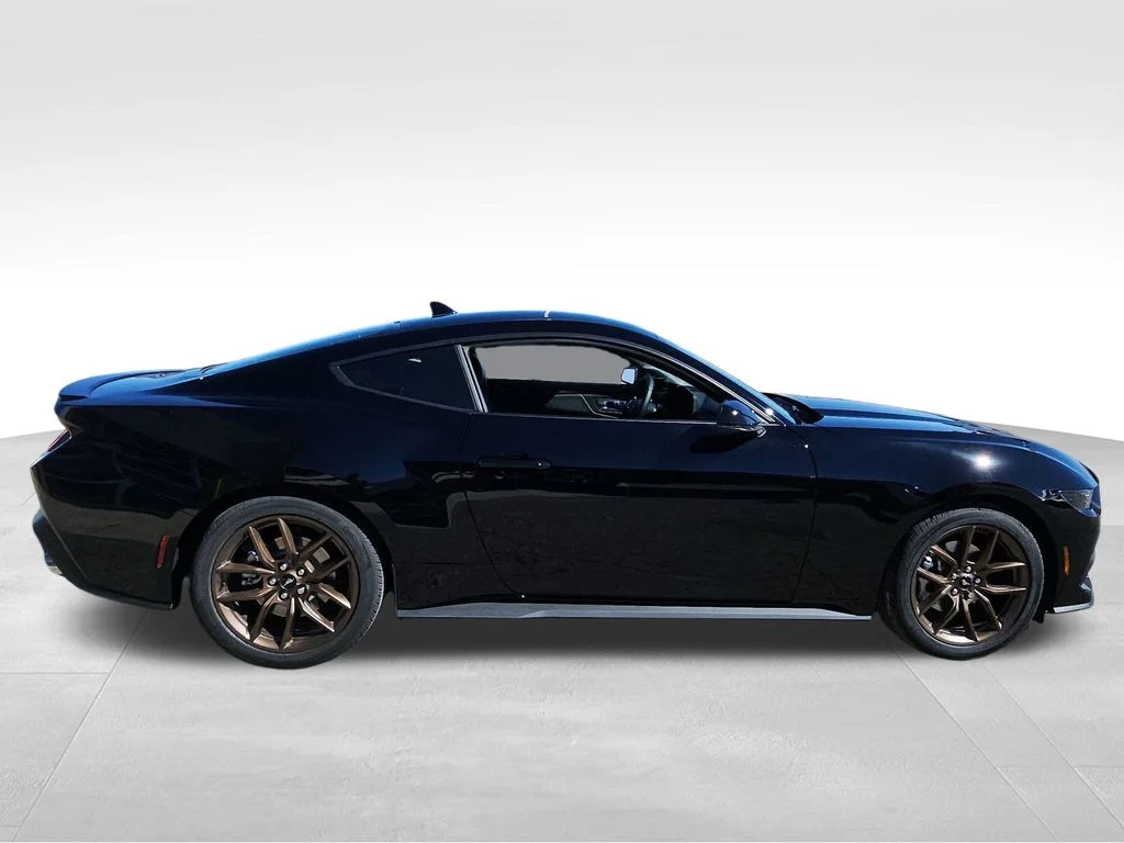 2025 Ford Mustang EcoBoost Premium Fastback - Photo 12