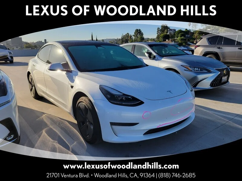 2021 Tesla Model 3 Standard Range Plus's photo