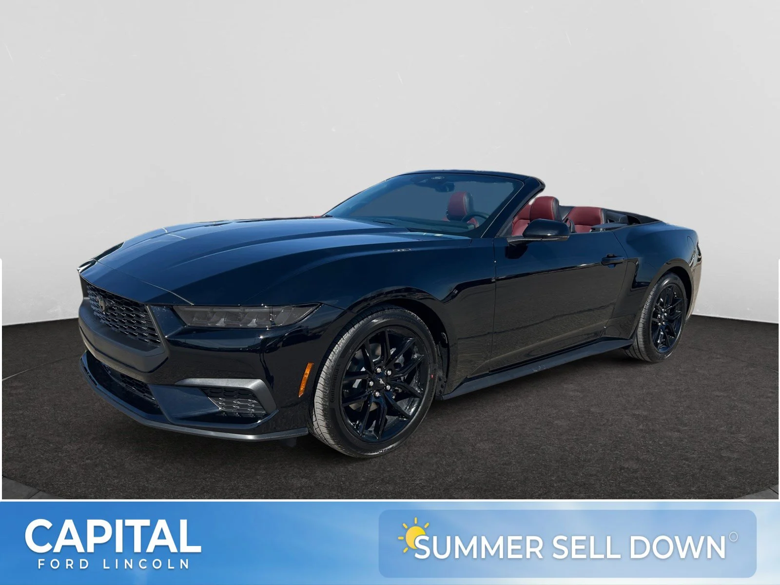 New 2026 Shadow Black Ford EcoBoost Premium image 1