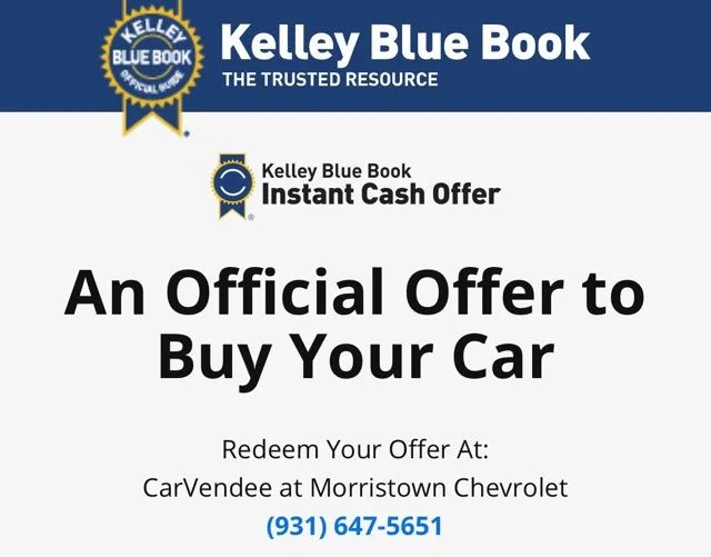 Used 2001 Gray Chevrolet LS image 24