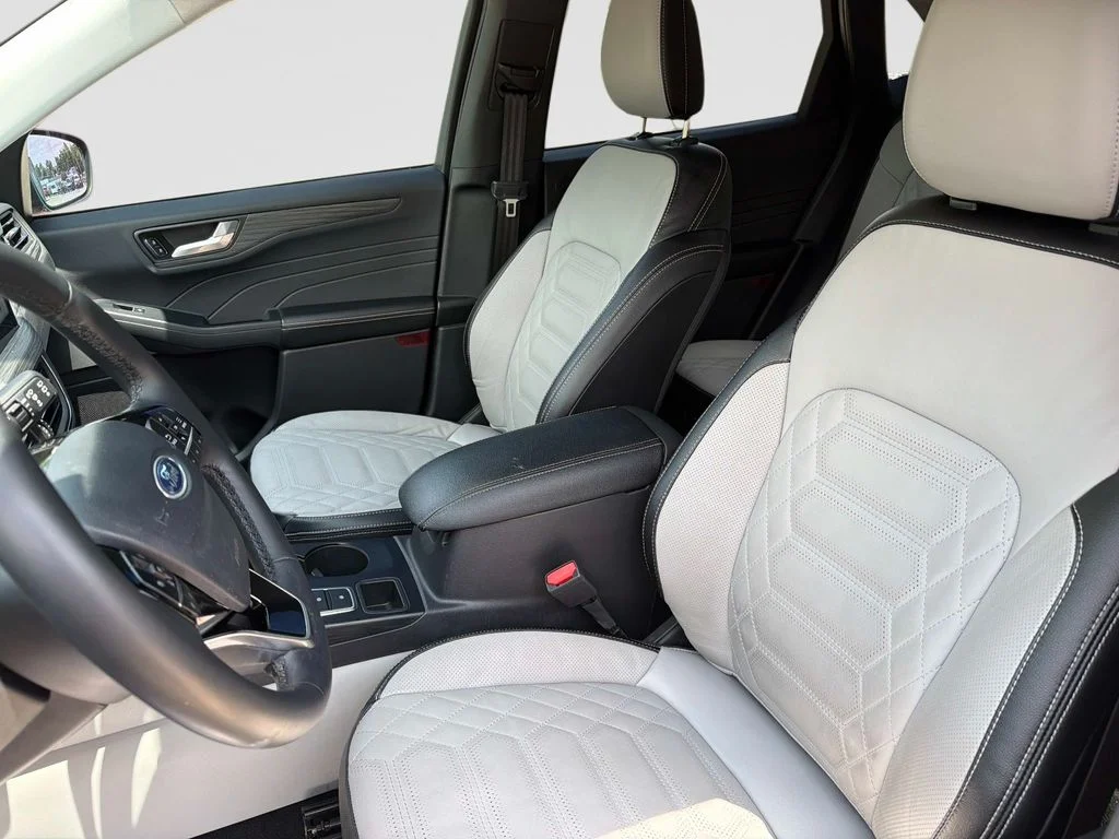 Used 2024 Gray Metallic Ford Platinum image 19