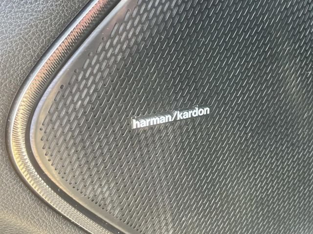 Used 2025 Black Ram RHO image 24