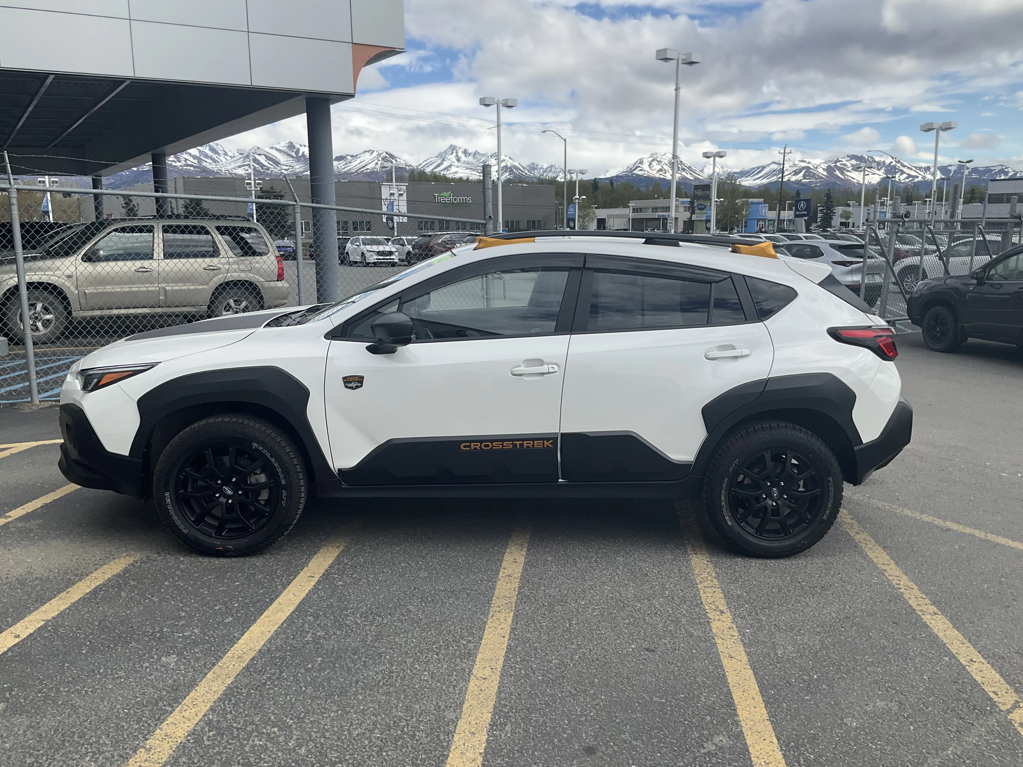 Used 2025 Crystal White Pearl Subaru Wilderness image 3