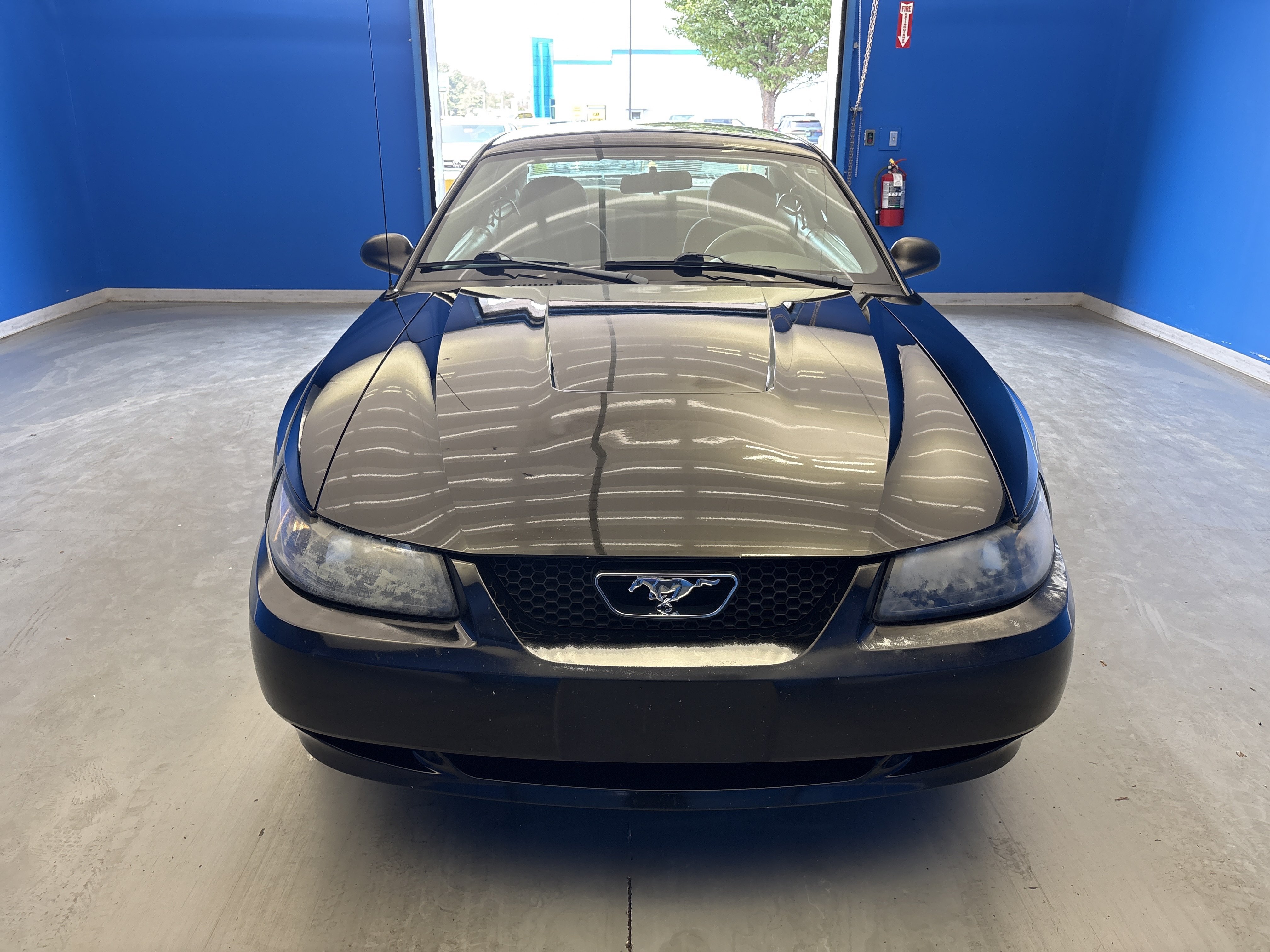 Used 2003 Black Ford Standard image 3
