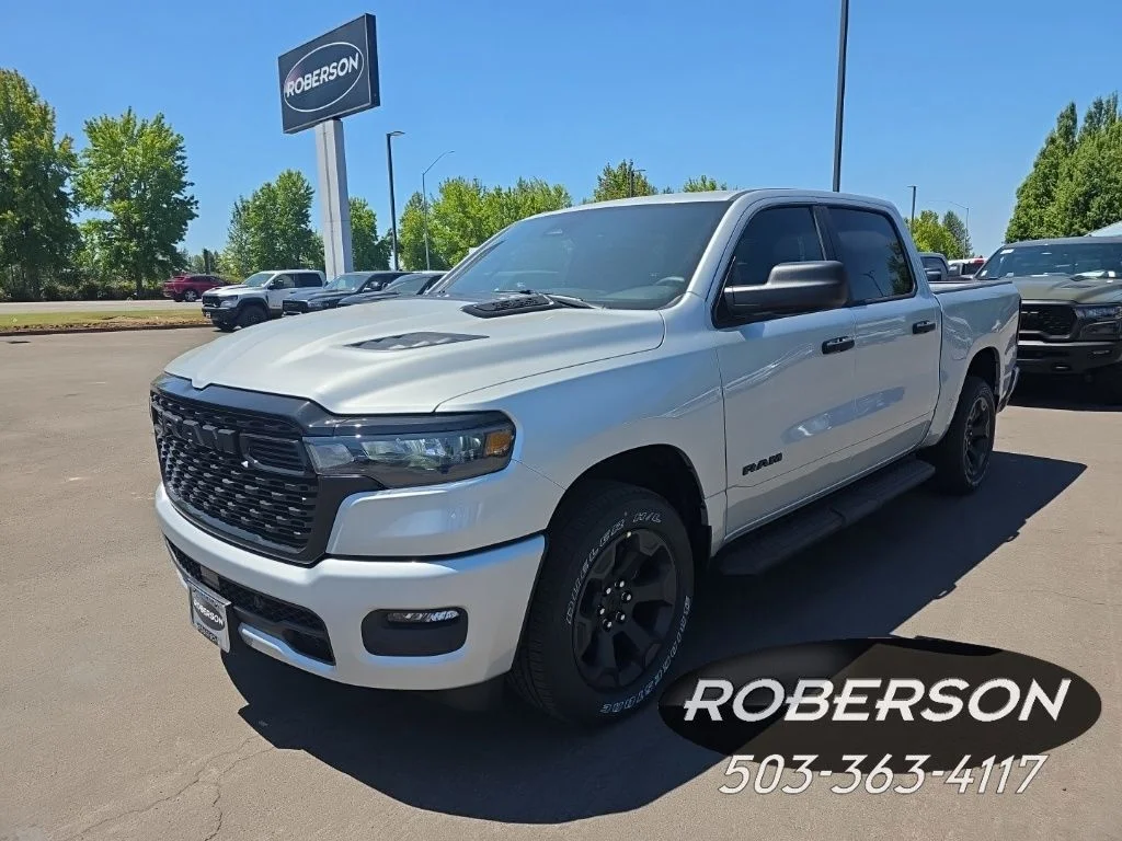 New 2026 Silver Zynith Exterior Paint RAM Express image 1