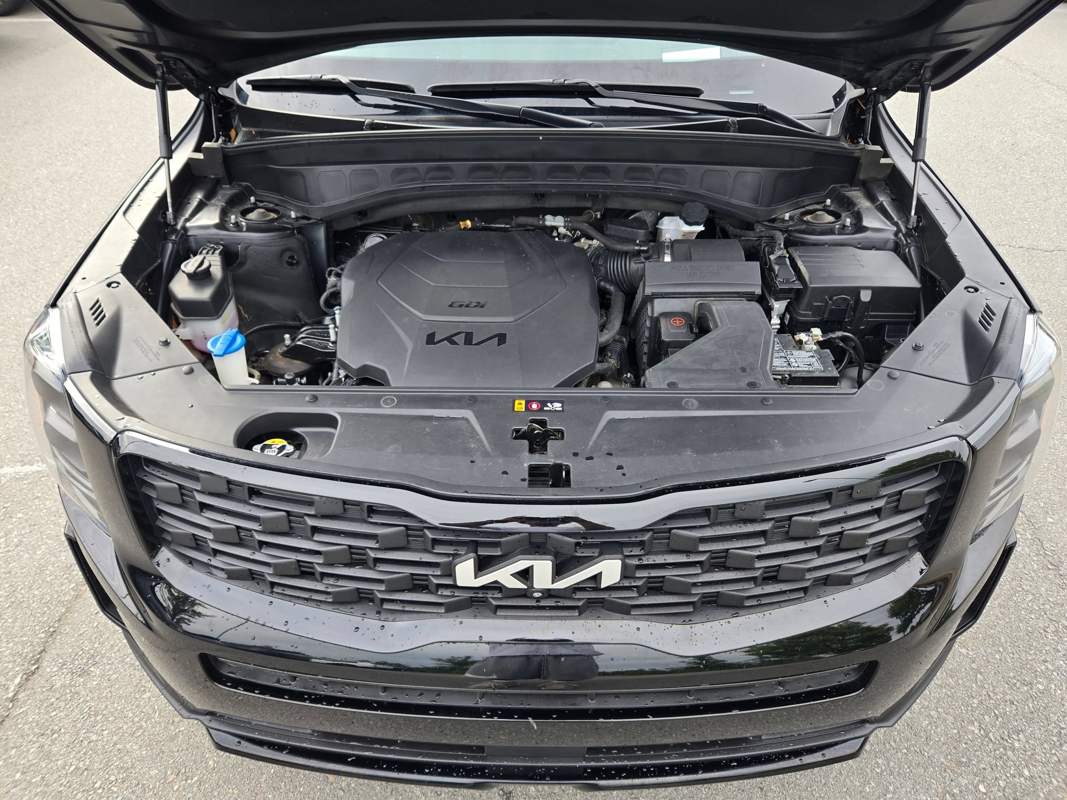 Used 2022 Ebony Black Kia SX image 19