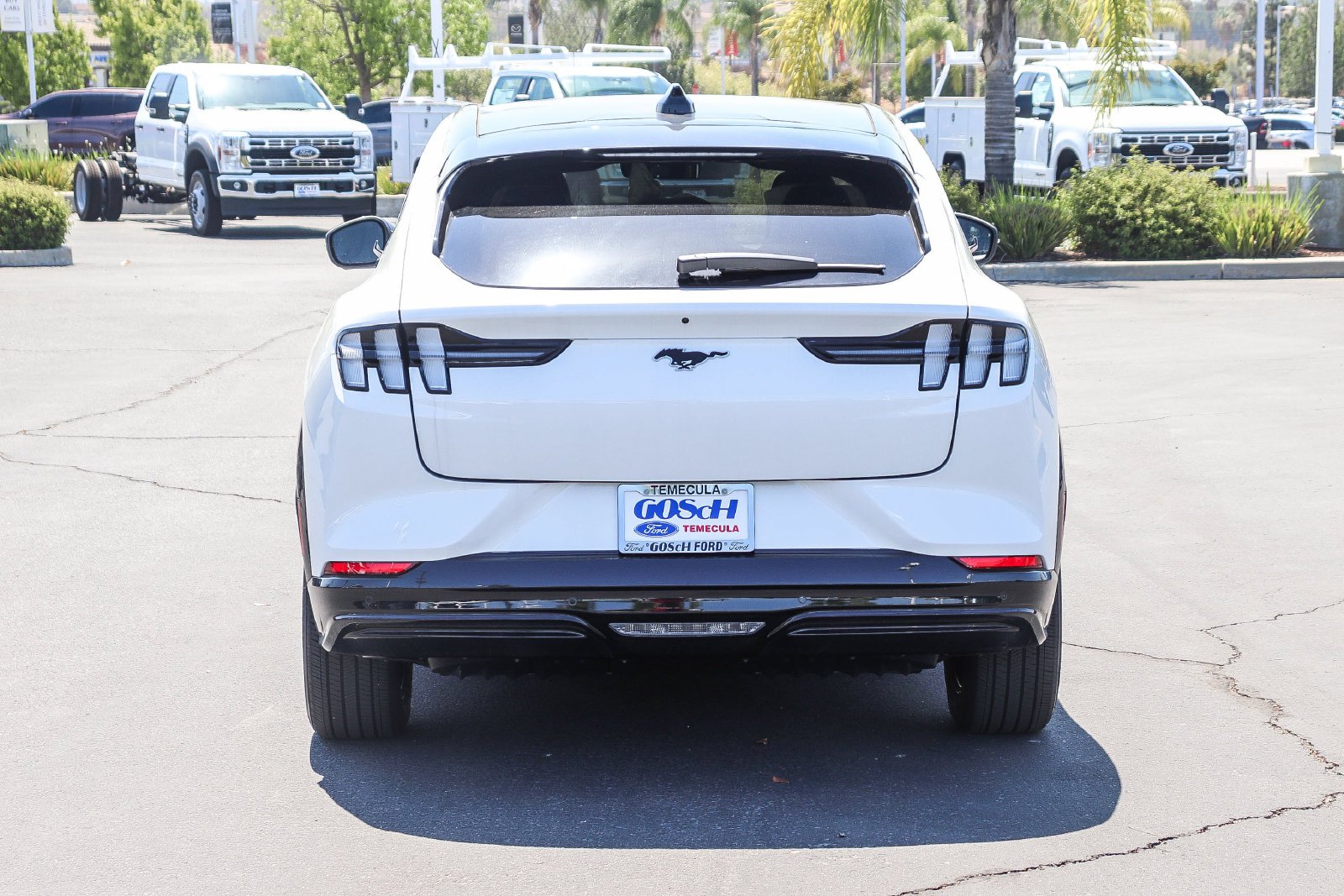 New 2026 Star White Metallic Tri-coat Ford Premium image 6