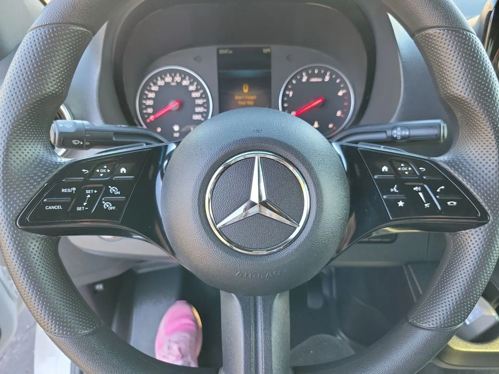 Used 2025 Arctic White Mercedes-Benz 12 Passenger image 38