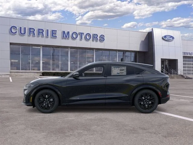 New 2026 Shadow Black Ford Premium image 25