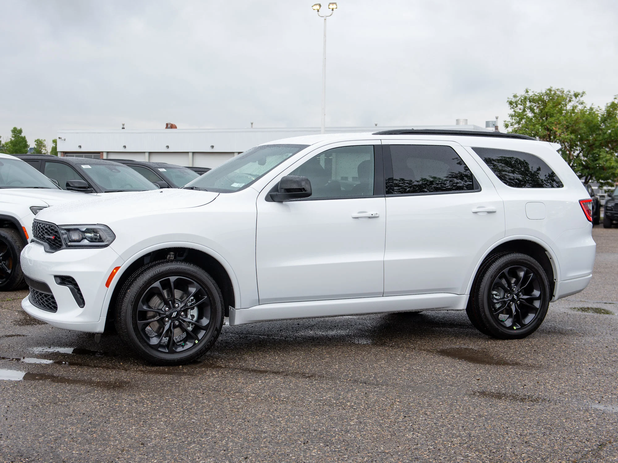 New 2026 White Dodge GT* AWD, Blacktop Package, Heated Seats/Wheel, Remote Start, Nav image 2