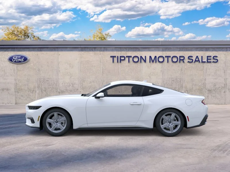 New 2026 Oxford White Ford EcoBoost® Fastback image 3