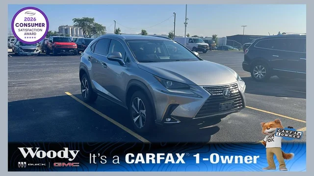 2020 Lexus NX 300 NX 300