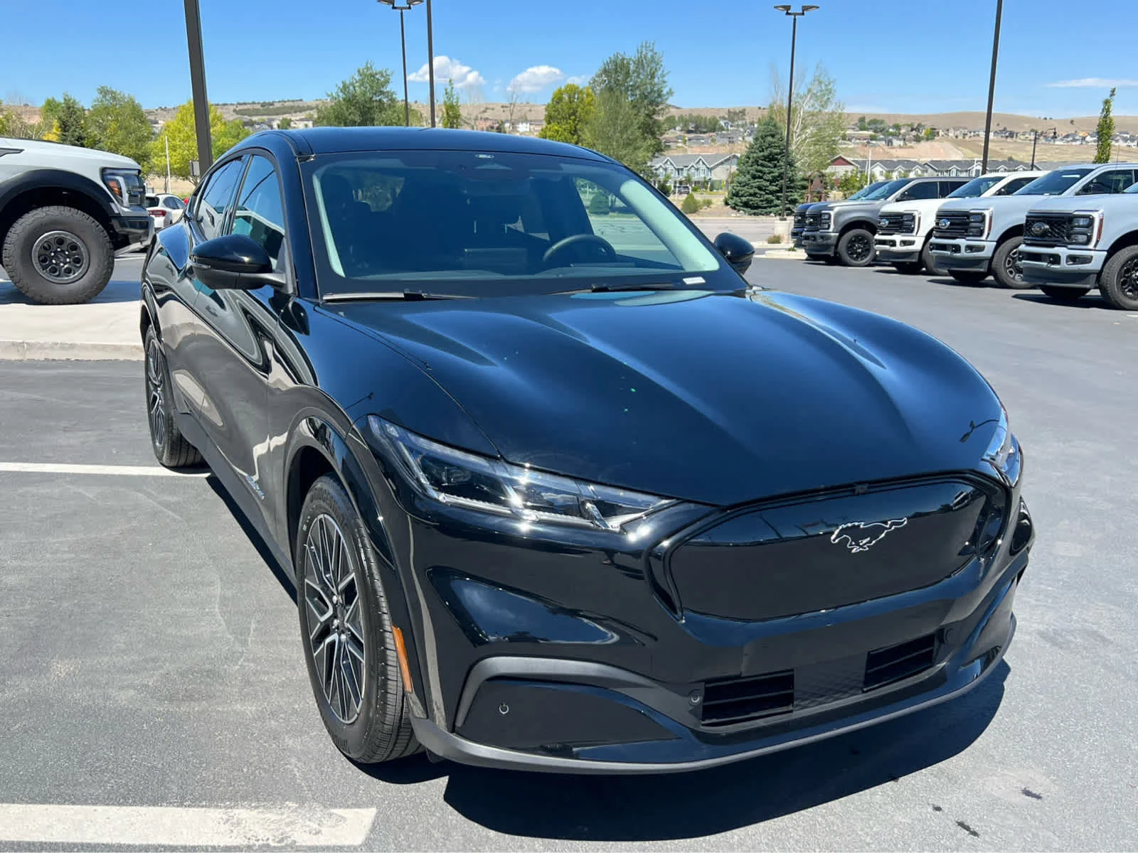 New 2026 Shadow Black Ford Premium image 4