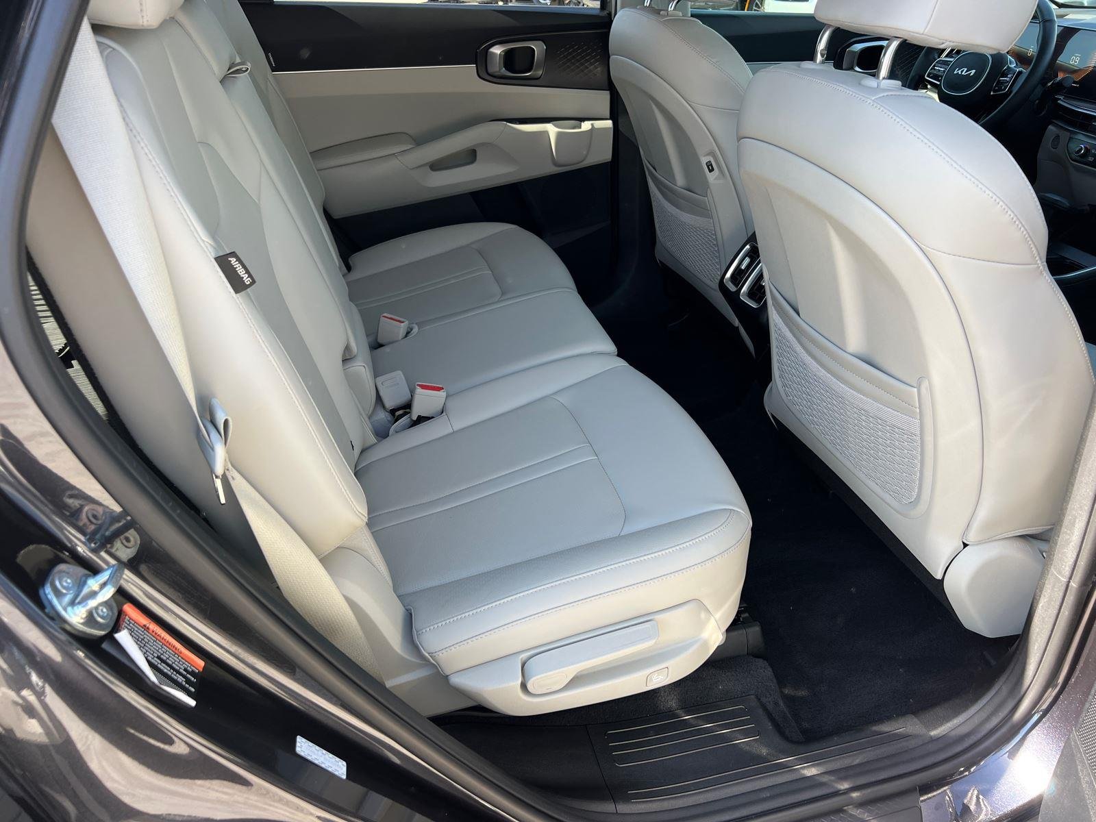 Used 2025 Panthera Metal Kia S image 15