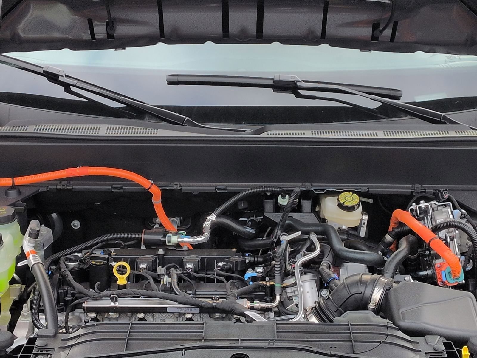 2025 Ford Maverick XLT - Photo 15