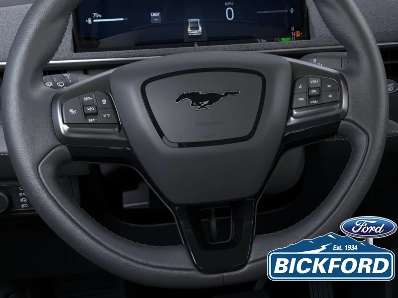 New 2026 Black Ford Select image 12
