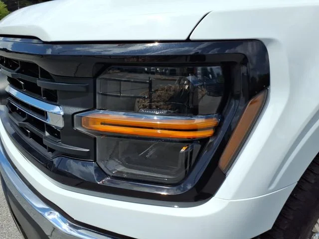 Used 2025 White Ford XLT image 3