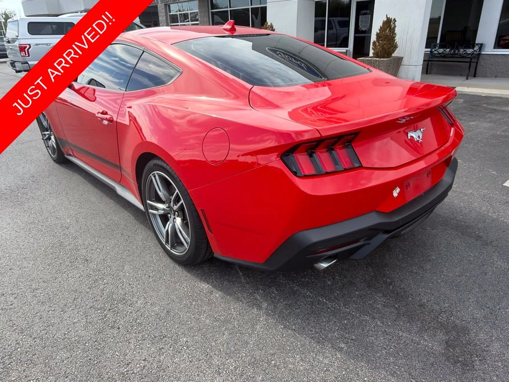 Used 2024 Race Red Ford EcoBoost image 2