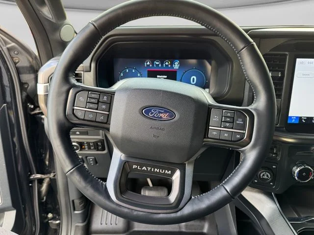 Certified Used 2025 Black Metallic Ford Platinum image 13
