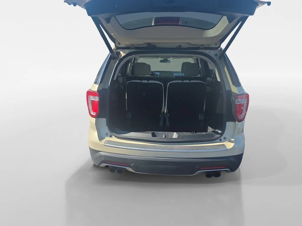 Used 2018 Silver Ford Platinum image 25